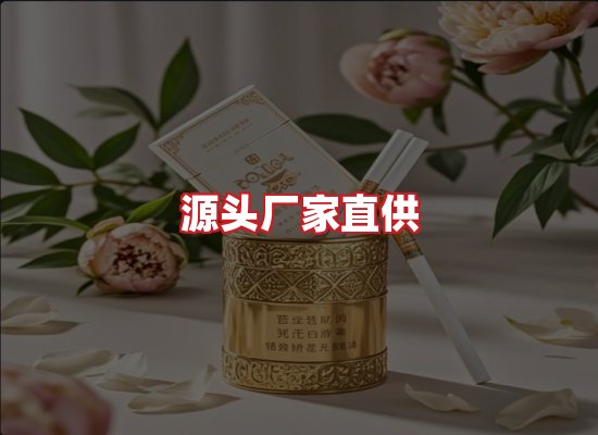 专业团队